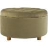 Light Sage Green Velvet