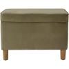 Light Sage Green Velvet