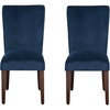 Navy Velvet