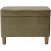 Light Sage Green Velvet