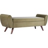 Light Sage Green Velvet