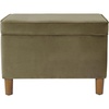 Light Sage Green Velvet